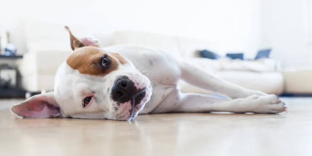 rs=w_1240,h_620,cg_true (1)