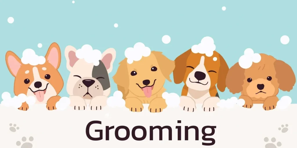 rsw_1240h_620cg_true